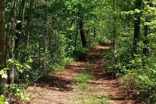 3 Acres of Unrestricted Land in Jackson County, NC – Up to 6 Acres Available