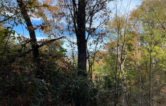 1.2 Acres in Jackson County NC