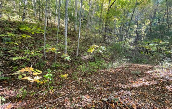 1.35 Acres in Swain County – No Restrictions