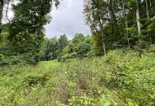 3.7 Acres in Macon County – No Building Restrictions