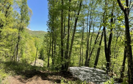 1.4 Acres – Unrestricted – in Macon County, NC